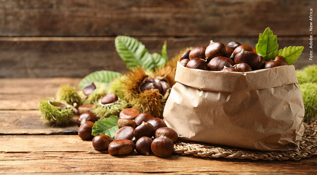 Kastanienbeutelfest in Ludwigsburg 2025 Kastanienbeutelfest in Ludwigsburg 2025